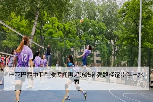 申花巴西中卫引援传闻再起防线补强路径逐步浮出水面