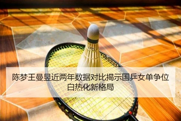 陈梦王曼昱近两年数据对比揭示国乒女单争位白热化新格局